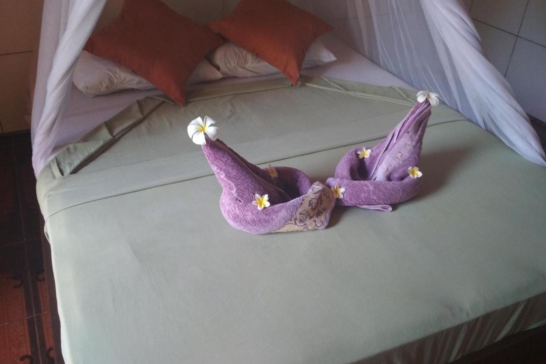 Photo of Others in Gili Meno