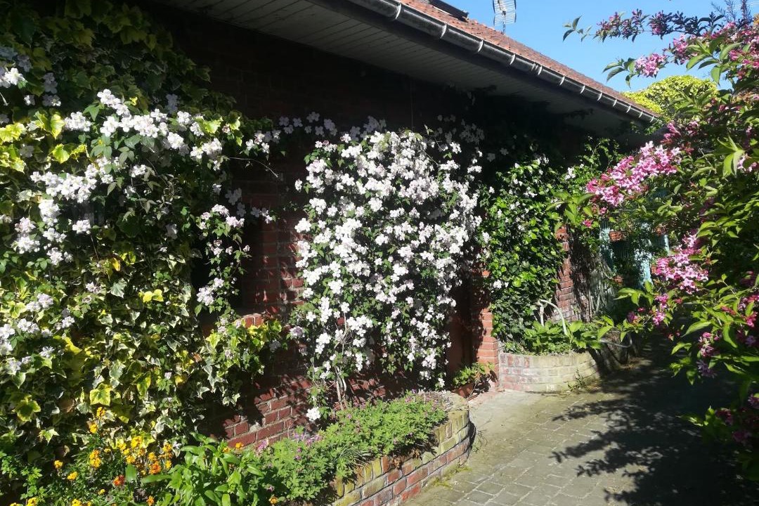 Photo of Others in Bollezeele