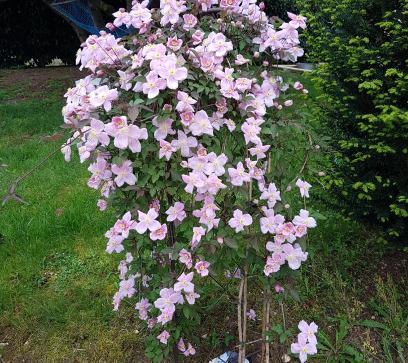 Photo of Others in Chateauroux