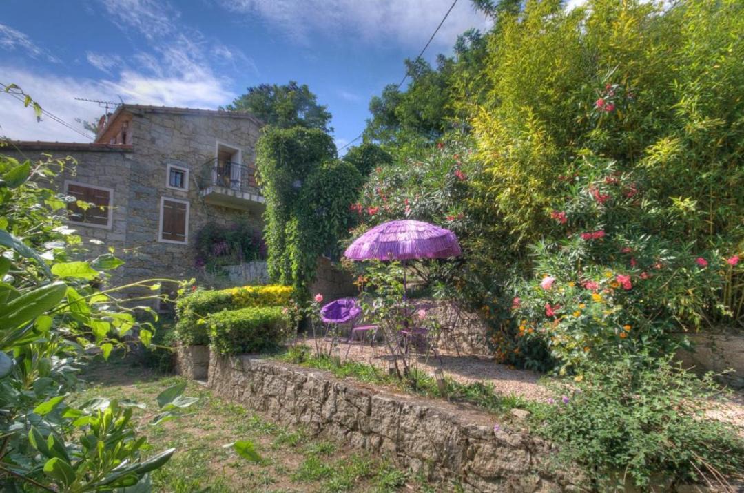 Photo of Others in Grosseto-Prugna