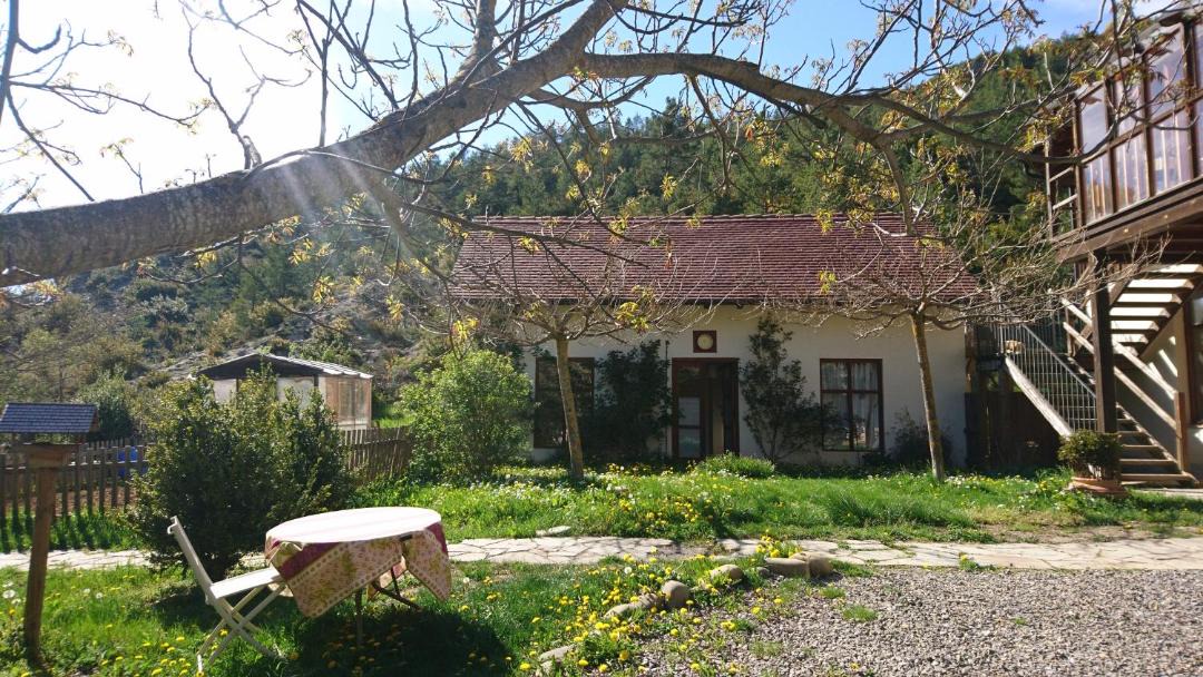 Photo of Buildings in Anso