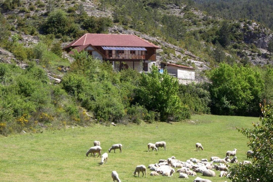 Photo of Others in Anso