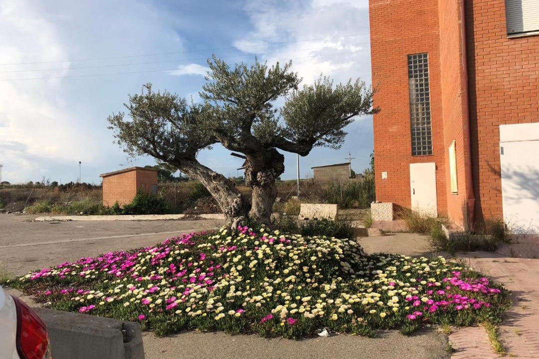 Photo of Outdoor in Alcarras