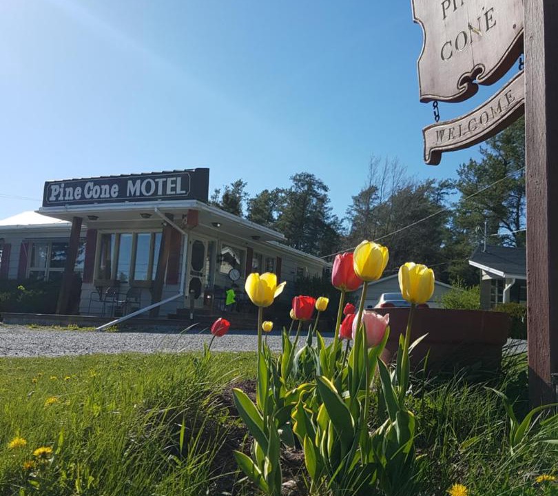 Photo of Others in Penobsquis