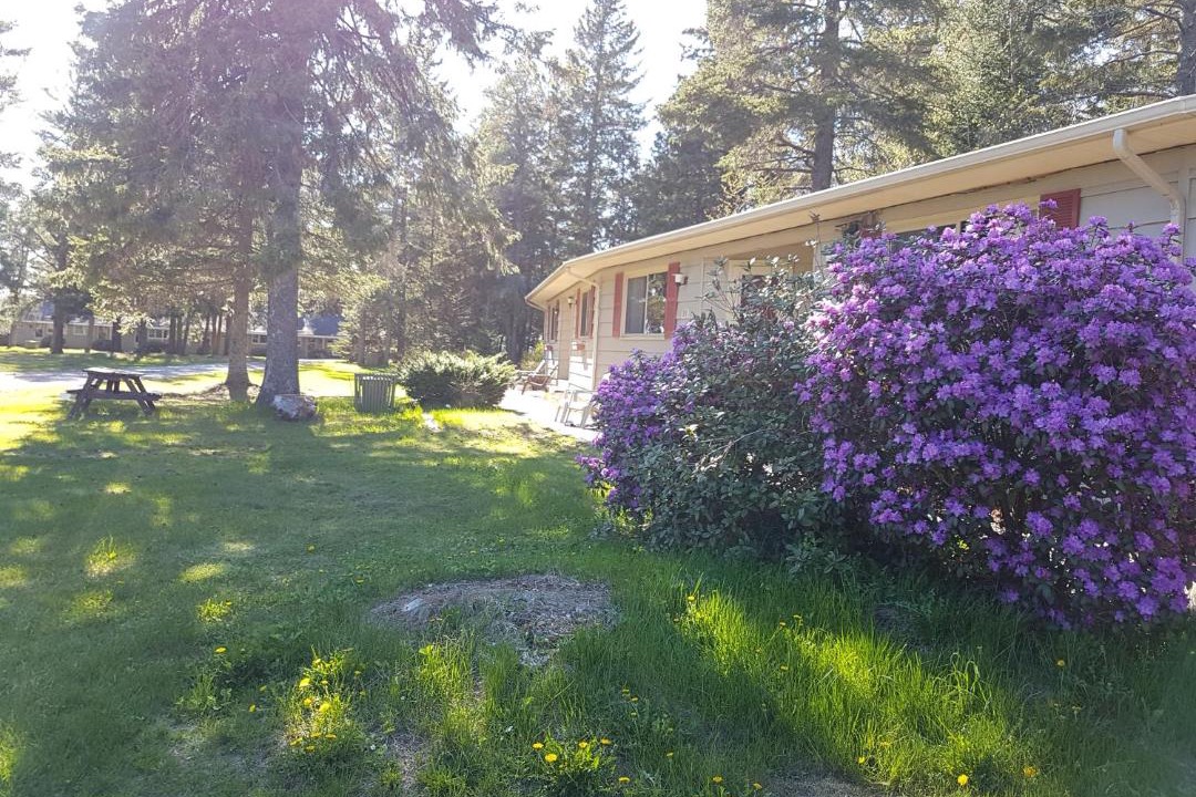 Photo of Others in Penobsquis