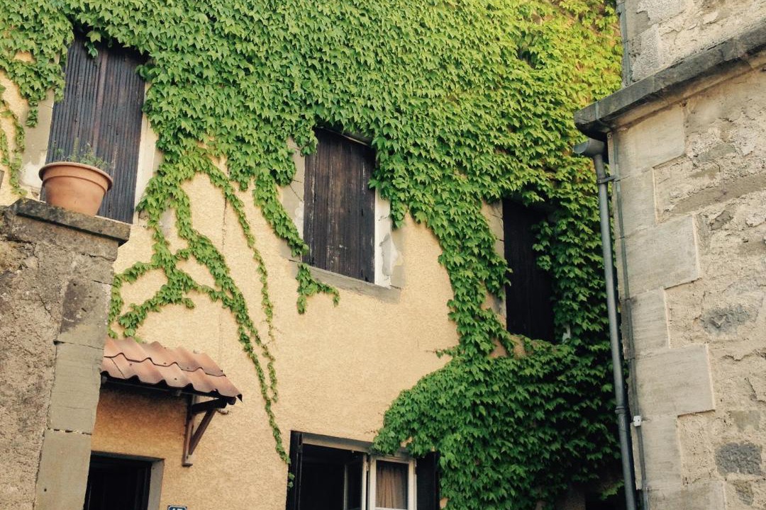 Photo of Others in Villalier