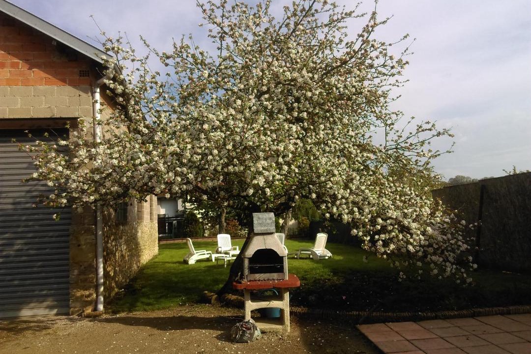 Photo of Others in Chatenois