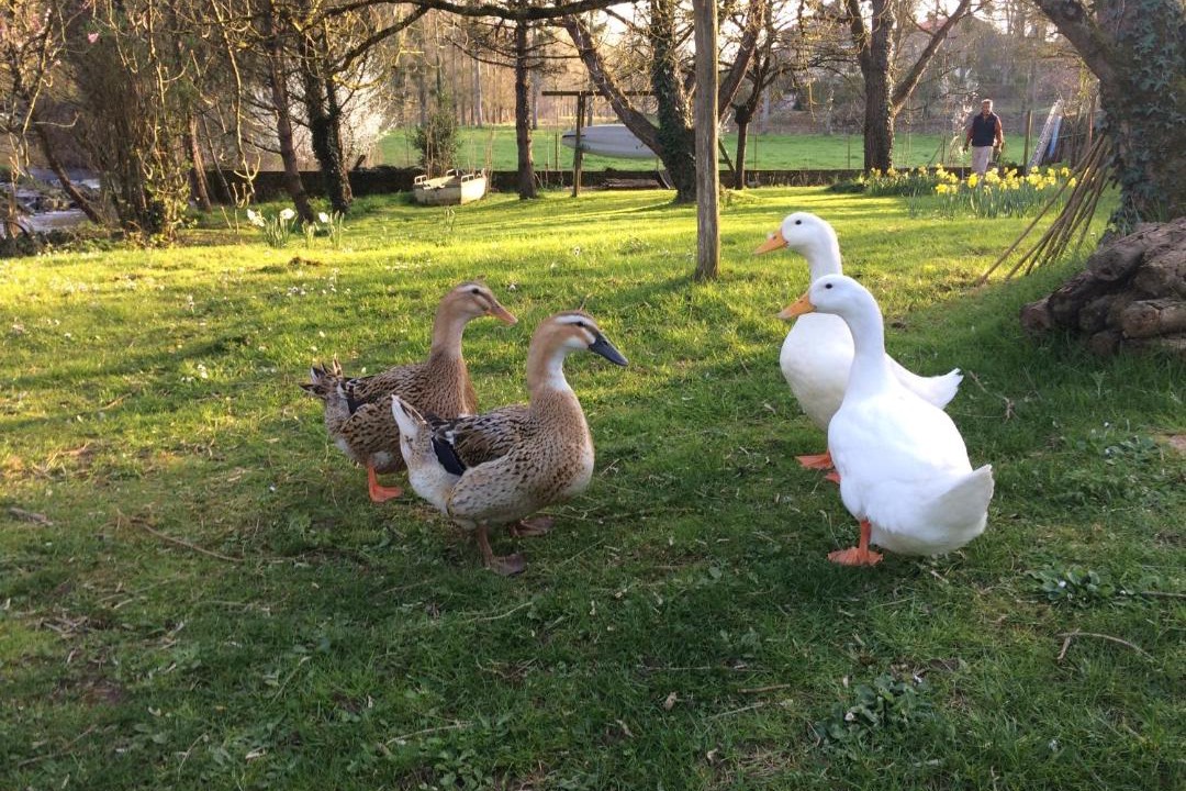 Photo of Others in Montrevault-sur-Evre