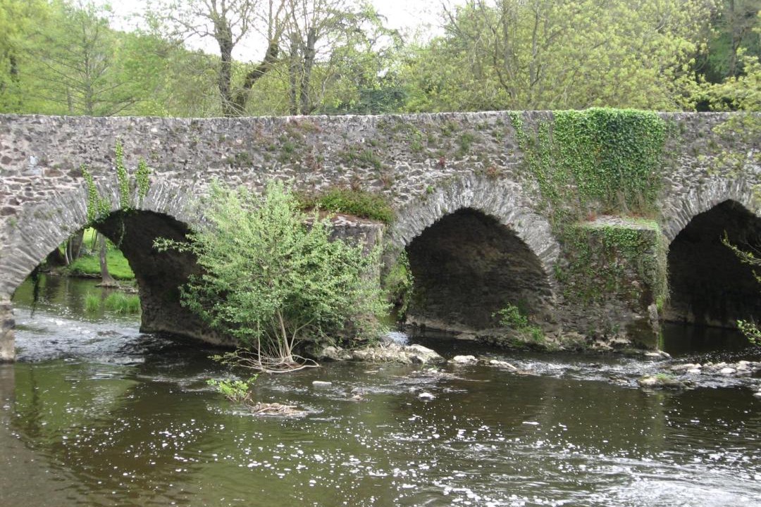 Photo of Others in Montrevault-sur-Evre