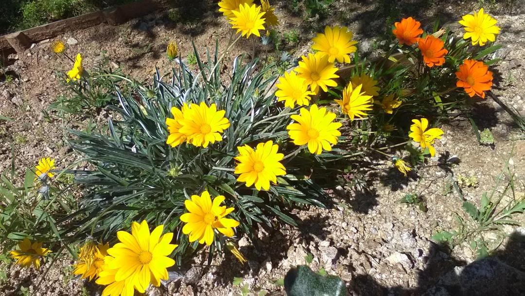Photo of Others in Sainte-Maxime