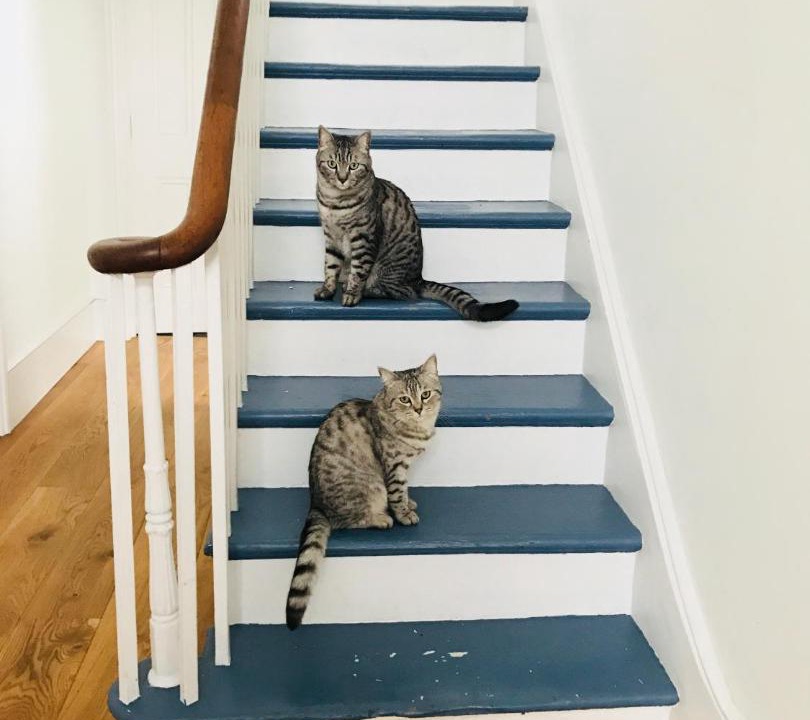 Photo of Others in Cantelowes