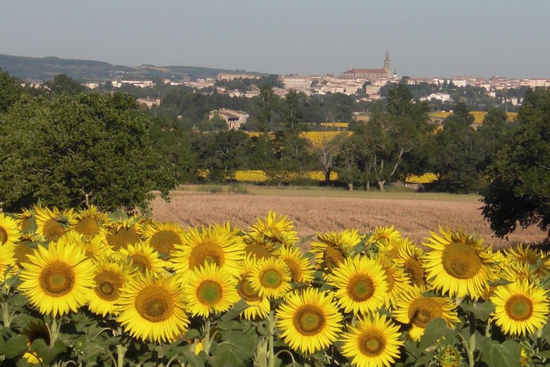 Photo of Others in Saint-Martin-Lalande