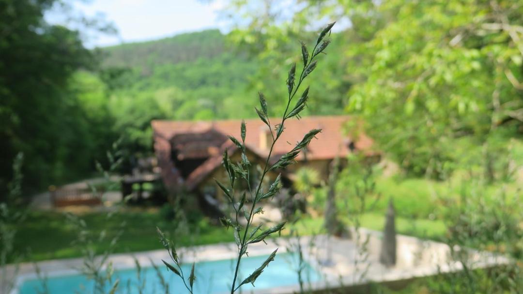 Photo of Others in Auriac-du-Perigord