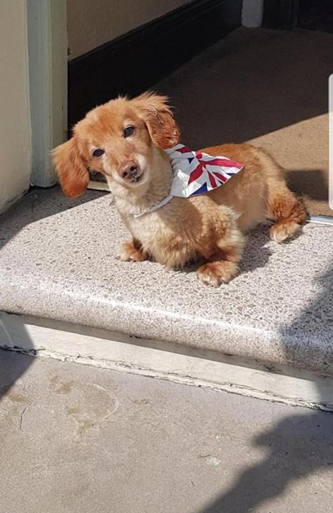 Photo of Others in Ashbourne