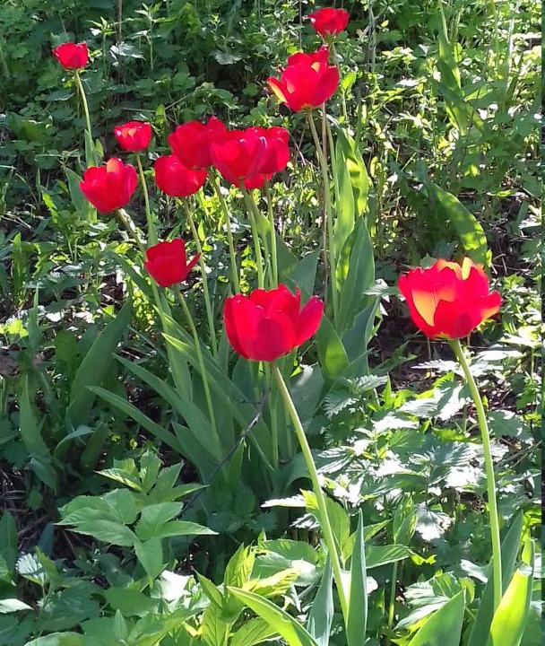 Photo of Patio Balcony in Nizhniy Novgorod City Centre