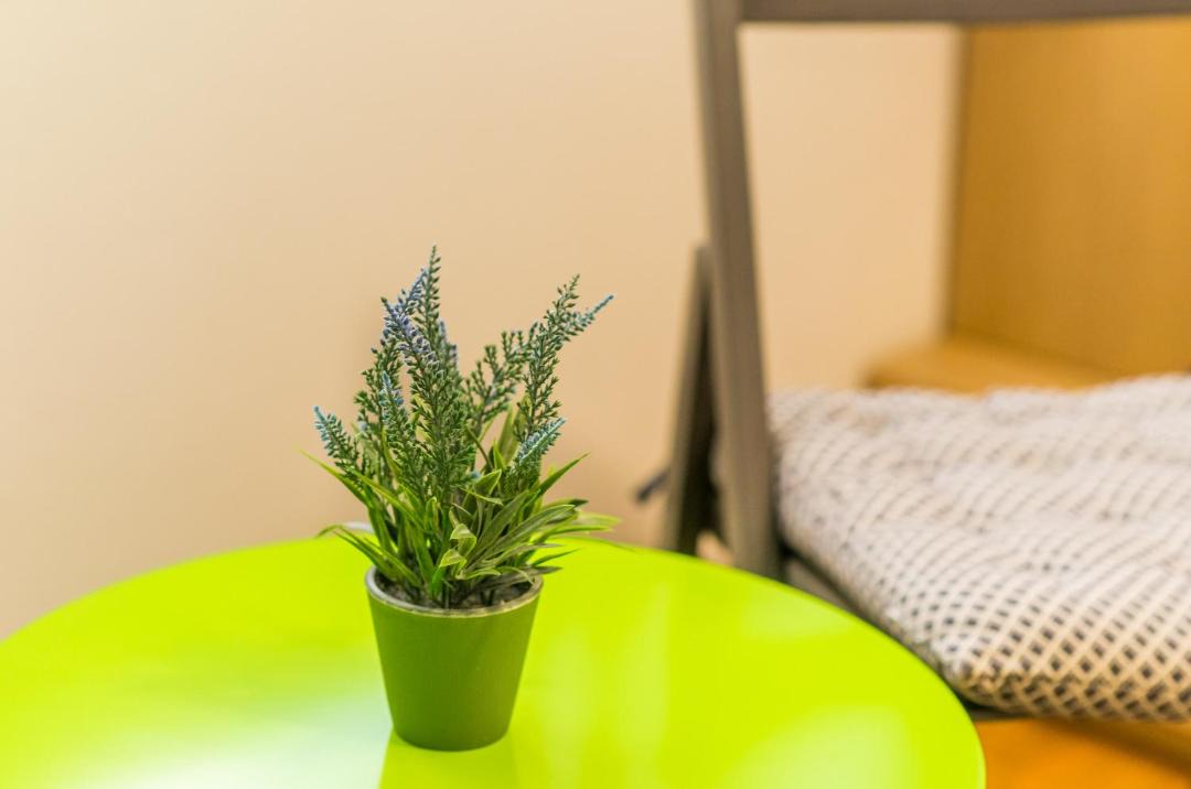 Photo of Bedroom in Lapad