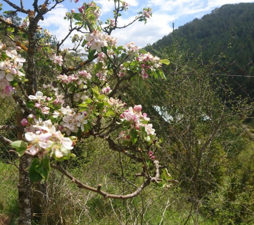 Photo of Outdoor in Anso