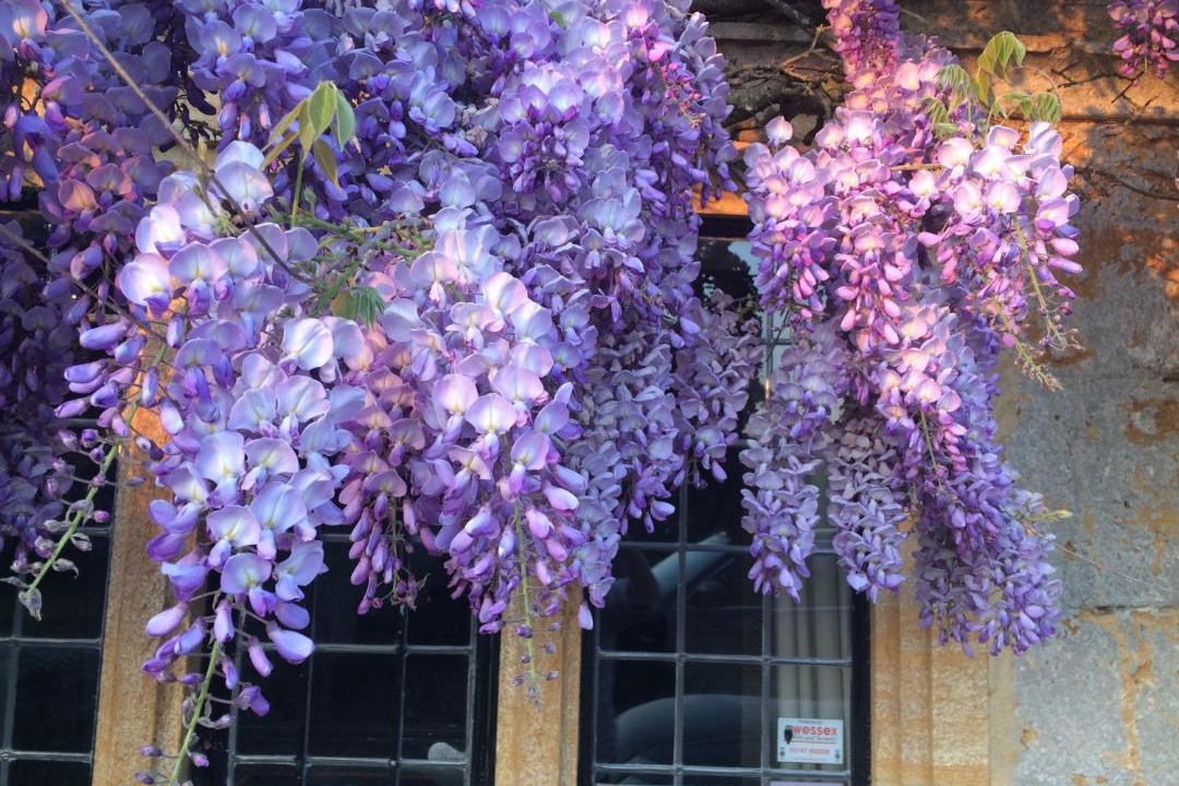 Photo of Others in Blackford