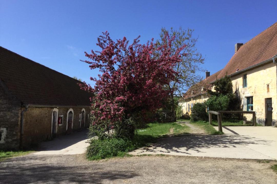 Photo of Others in Bazinghen