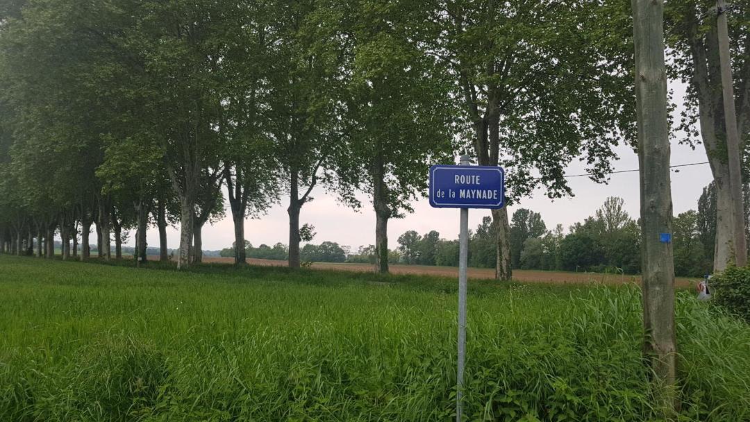 Photo of Others in Loubens-Lauragais