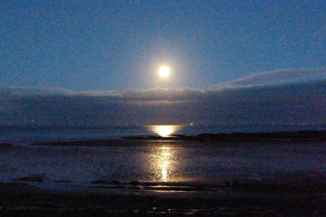 Photo of Others in Carsethorn