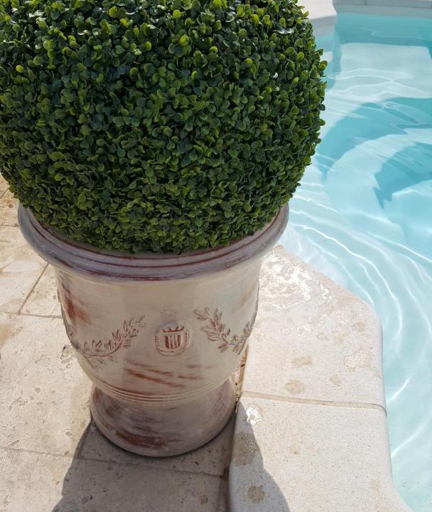 Photo of Others in Tavel