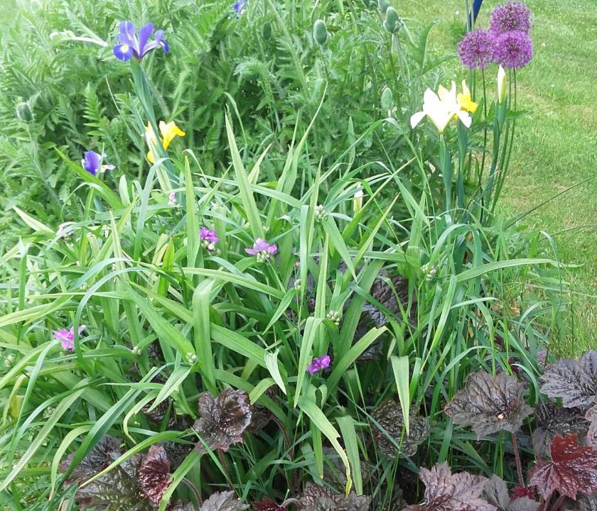 Photo of Others in Beaumont-Pied-de-Boeuf