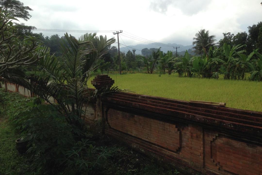 Photo of Outdoor in Selat