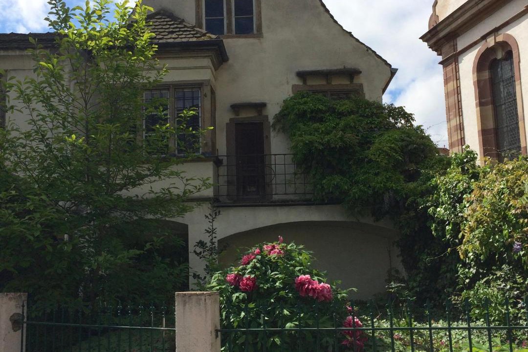 Photo of Buildings in Strasbourg