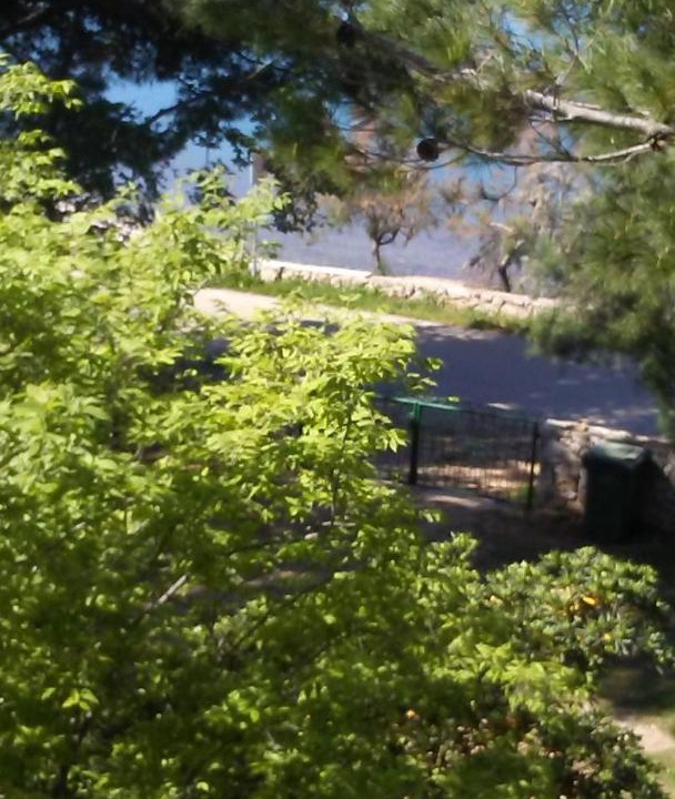 Photo of Others in Rovanjska
