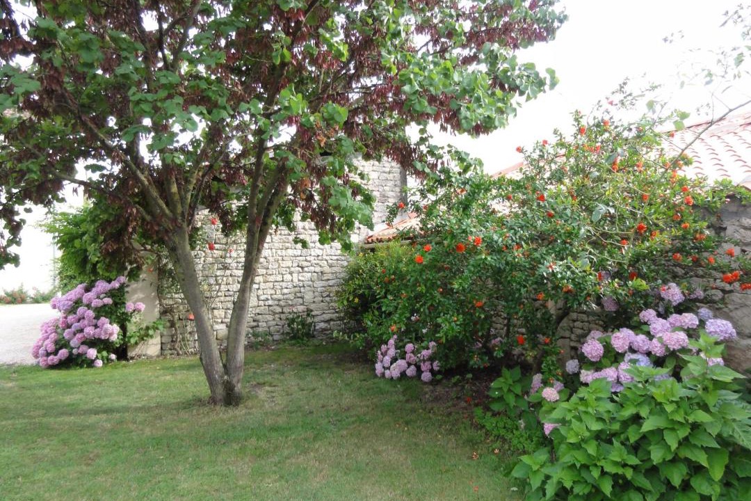Photo of Others in Le Poire-sur-Velluire