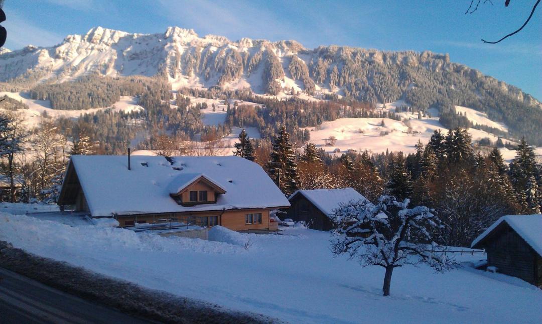 Photo of Others in Goldiwil