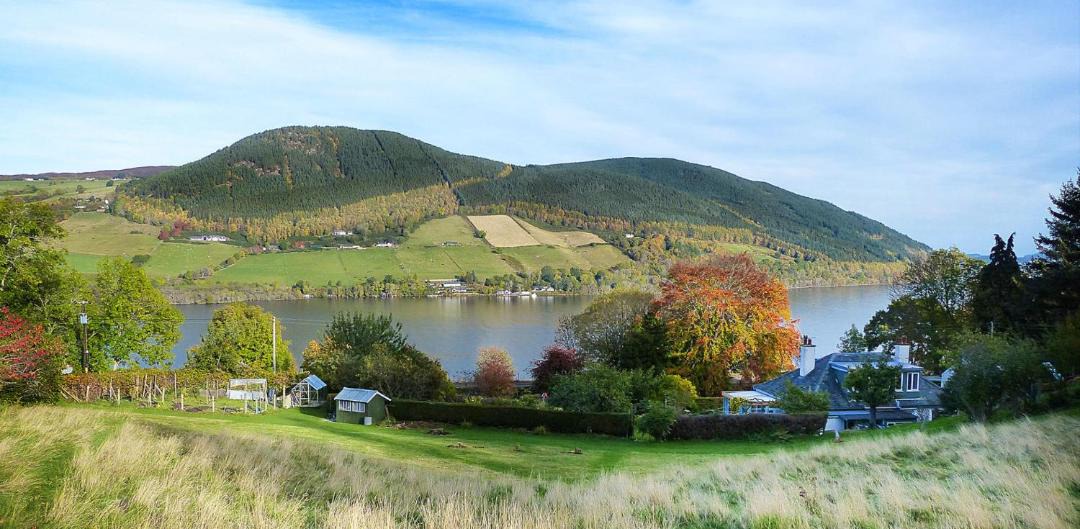 Photo of Others in Lewiston