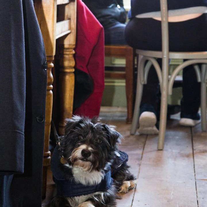 Photo of Others in Olney