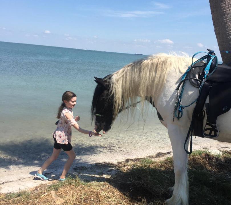 Photo of Others in Indian Shores