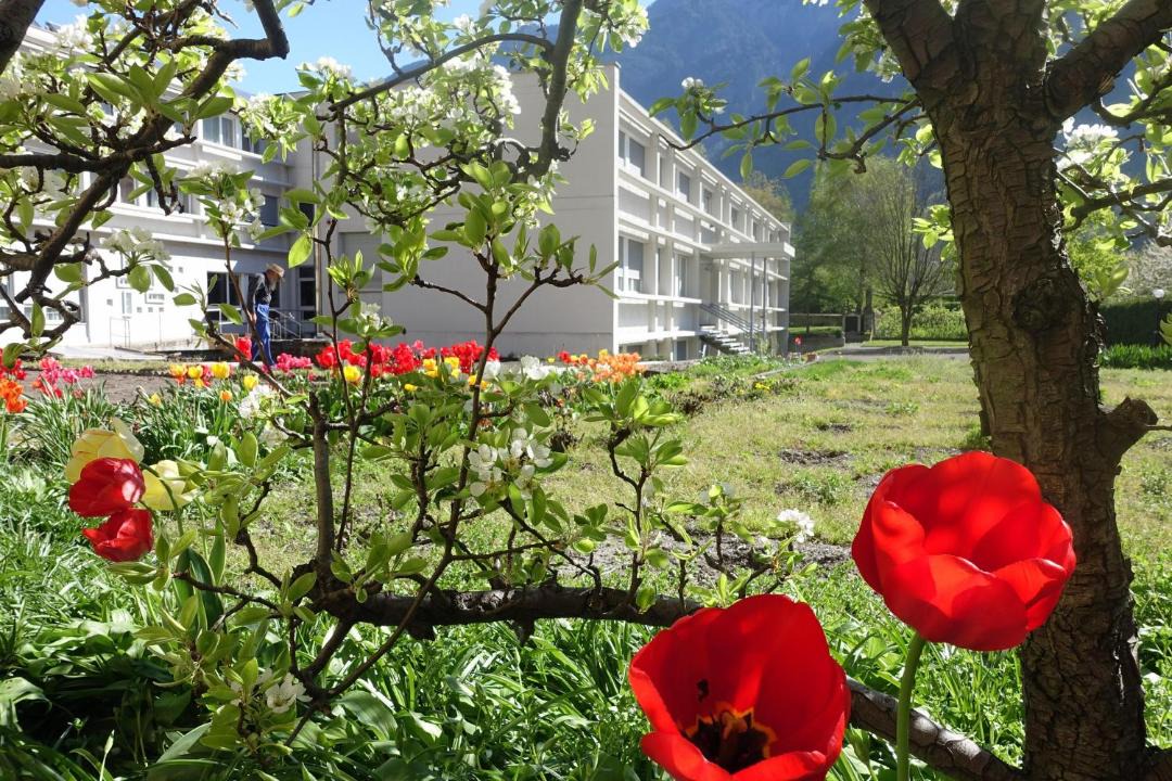 Photo of Others in Saint-Maurice