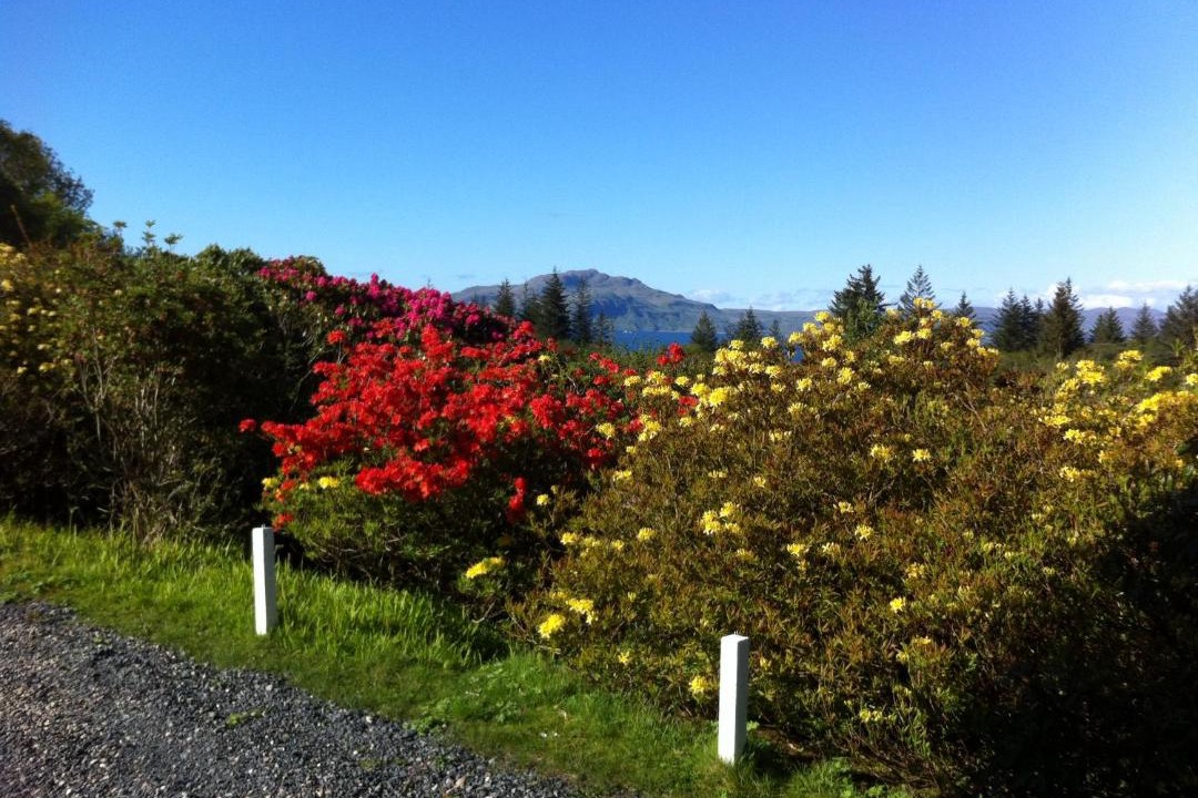 Photo of Others in Tobermory