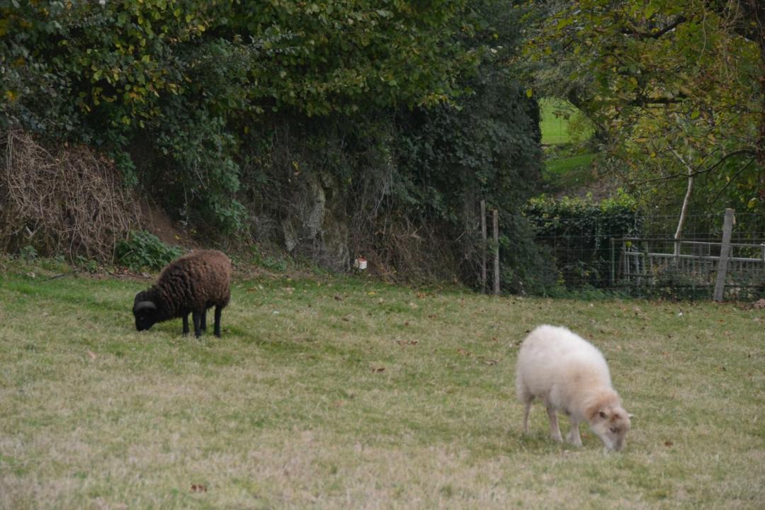 Photo of Others in Sevremont