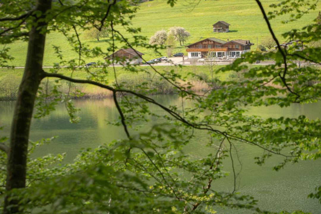 Photo of Others in Goldswil