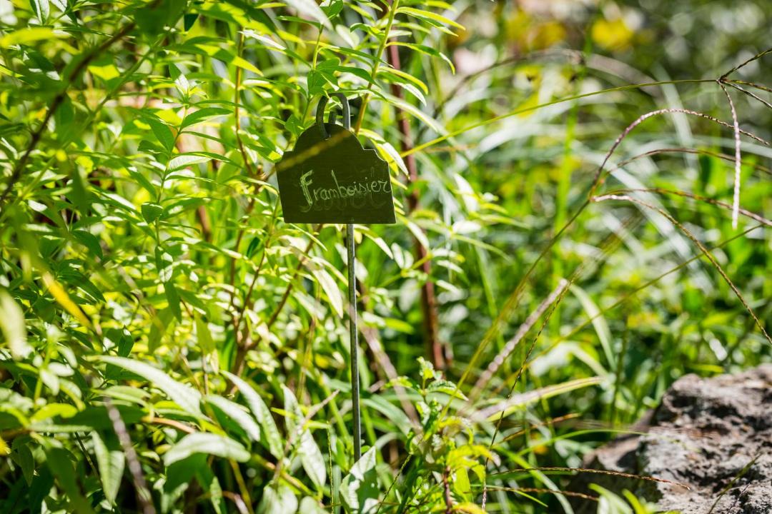 Photo of Others in Conques