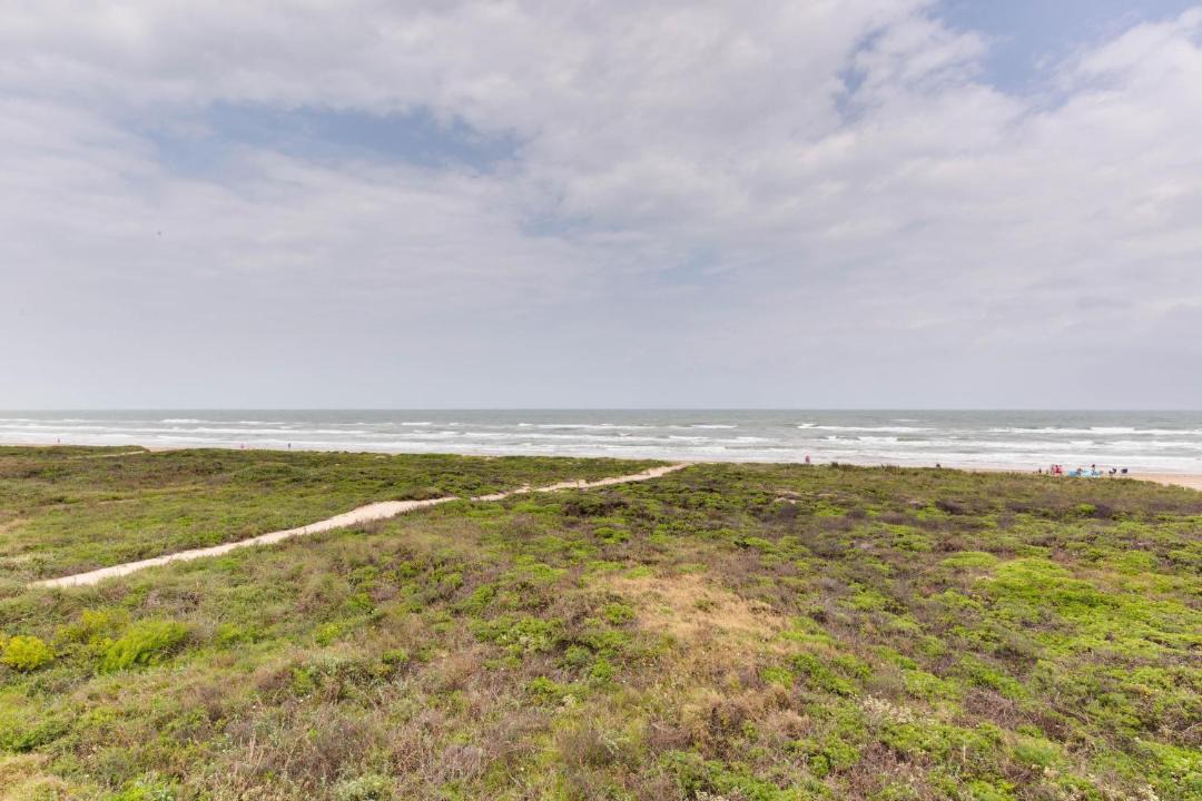 Photo of Others in South Padre Island