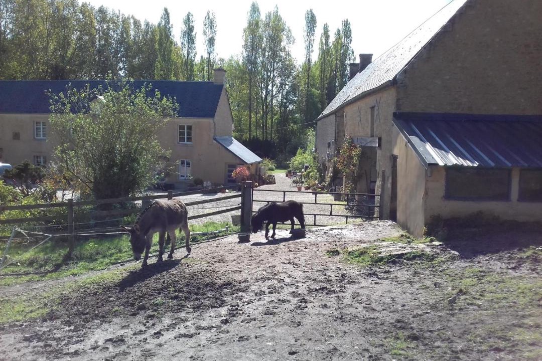 Photo of Others in Vaux-sur-Seulles
