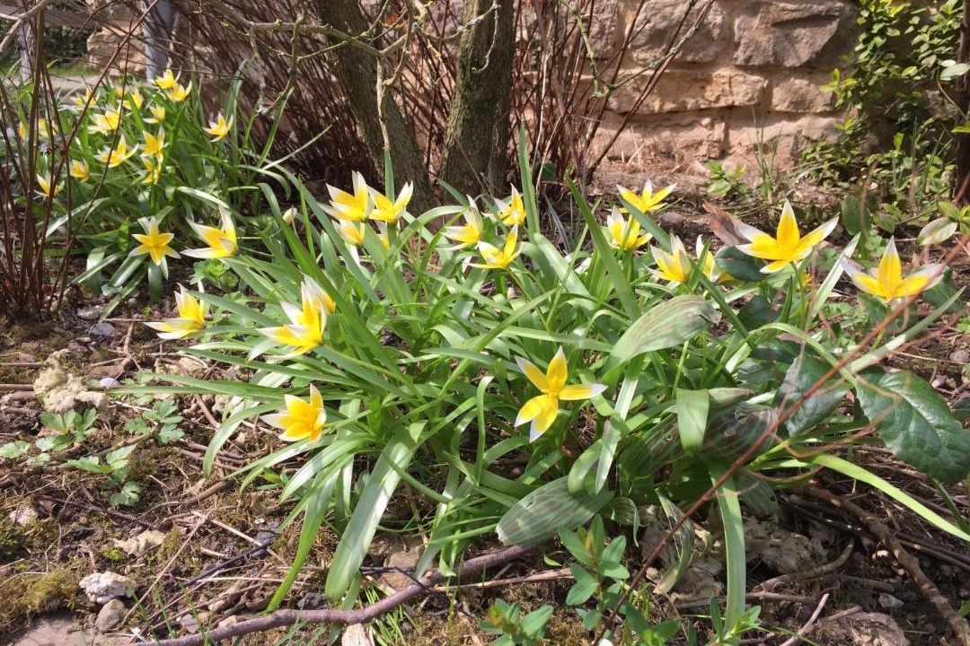 Photo of Others in Floing