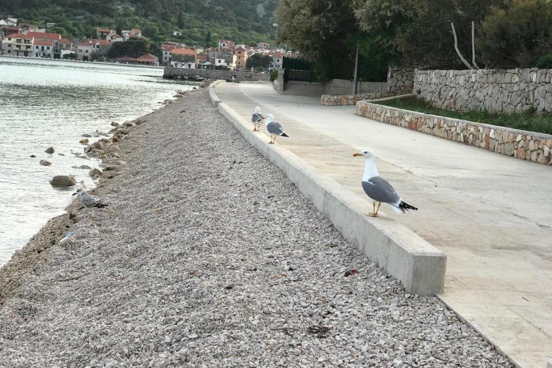 Photo of Others in Tijesno