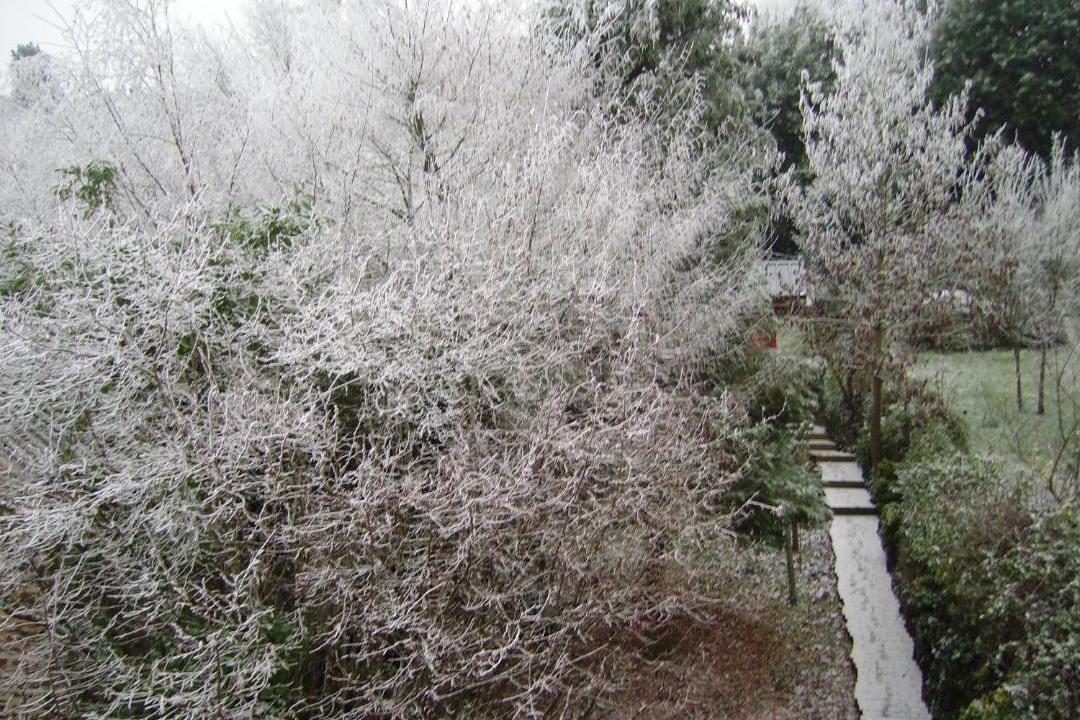 Photo of Others in Flore