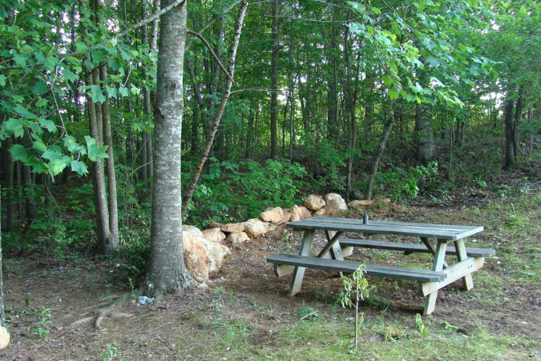 Photo of Others in Lineville