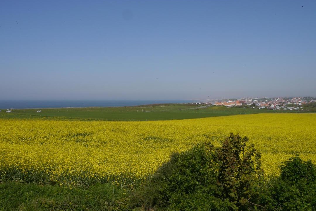 Photo of Others in Wimereux