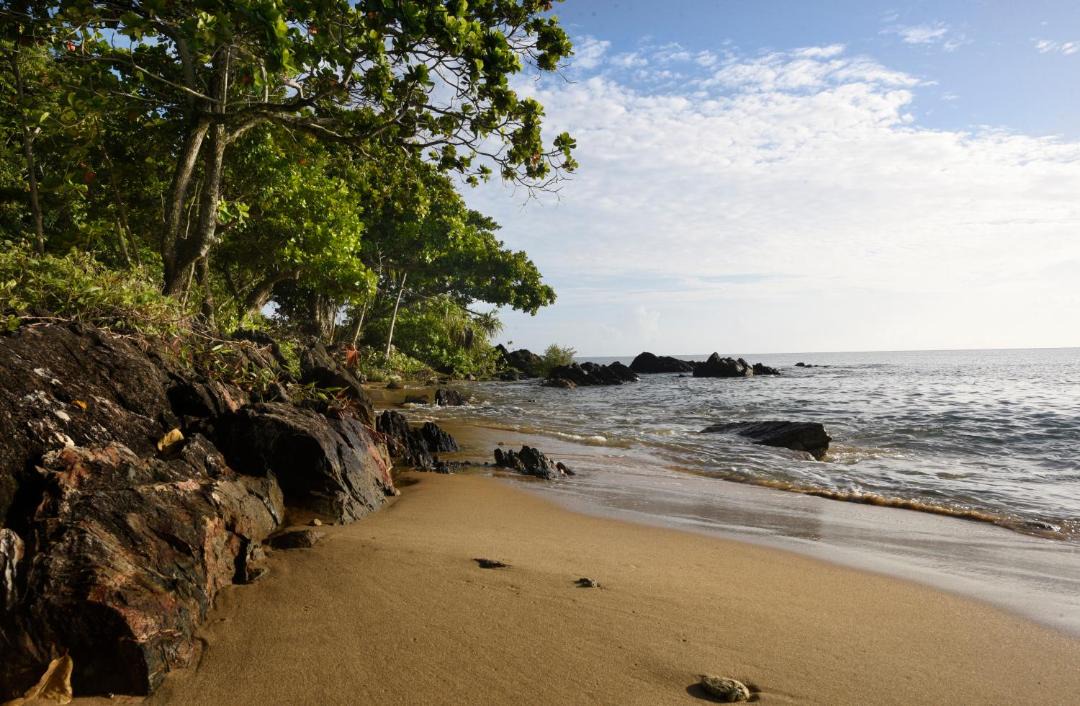 Photo of Others in Mission Beach