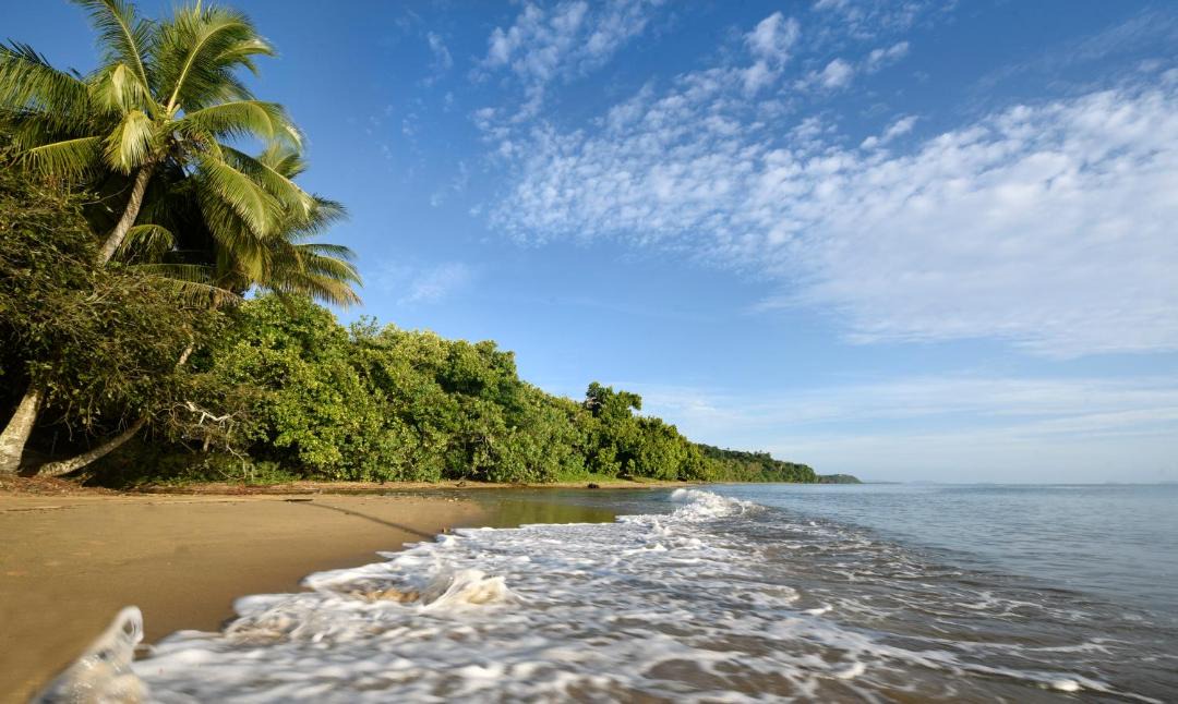 Photo of Others in Mission Beach