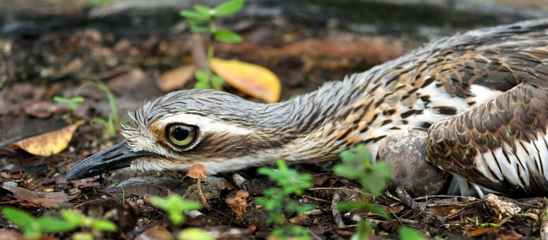 Photo of Others in Mission Beach
